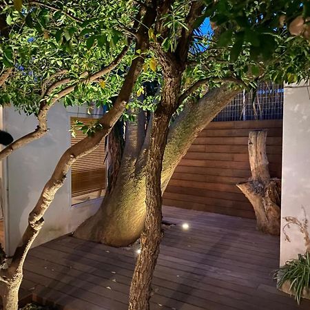 Ferienwohnung Le Jardin Cache Sanary-sur-Mer Exterior foto