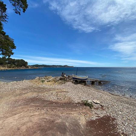Ferienwohnung Le Jardin Cache Sanary-sur-Mer Exterior foto