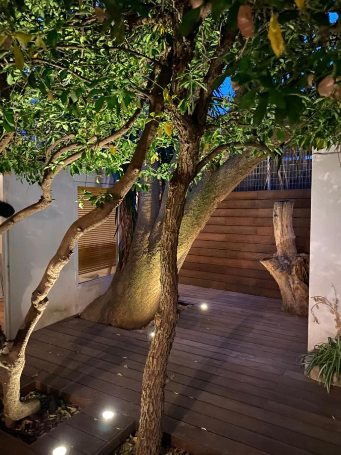 Ferienwohnung Le Jardin Cache Sanary-sur-Mer Exterior foto