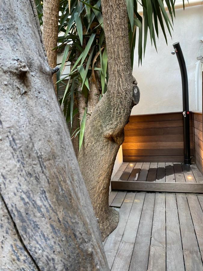 Ferienwohnung Le Jardin Cache Sanary-sur-Mer Exterior foto