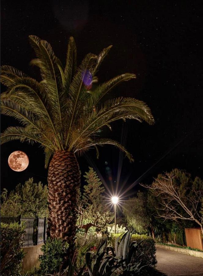 Ferienwohnung Le Jardin Cache Sanary-sur-Mer Exterior foto